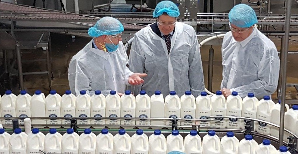 Thinking Out Of The Box Or Bottle: Innovative Milk Packaging